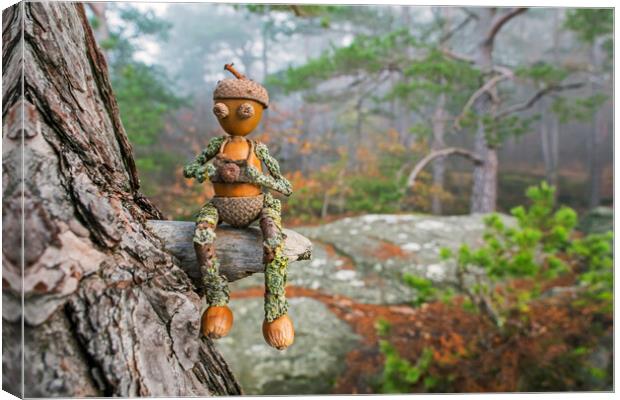 Little Acorn Photographer in Tree Canvas Print by Arterra 