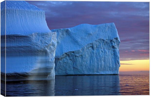 Icebergs in Greenland Canvas Print by Arterra 
