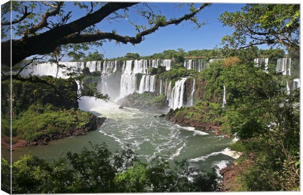 Iguazu Falls / Iguassu Falls Canvas Print by Arterra 