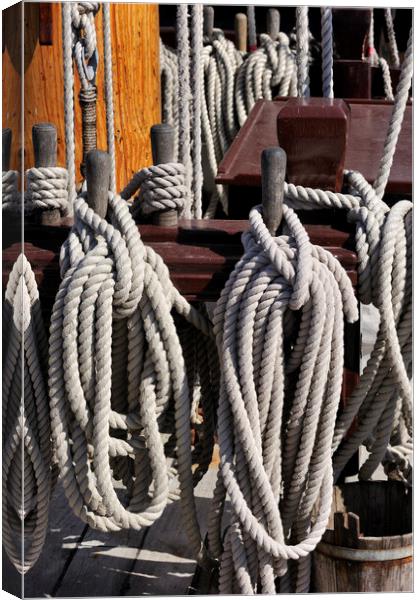 Ropes and Knots on Deck Canvas Print by Arterra 