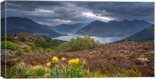 Loch Duich and Five Sisters of Kintail, Scotland Canvas Print by Arterra 