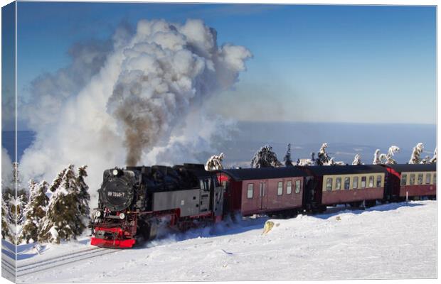 Steam Train in the Snow Canvas Print by Arterra 