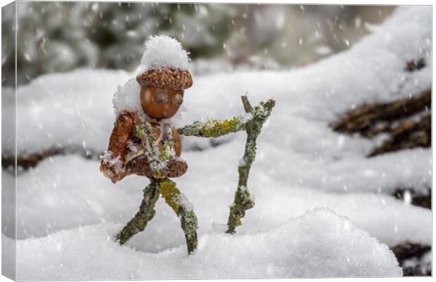 Little Acorn Man Hiking in the Snow Canvas Print by Arterra 