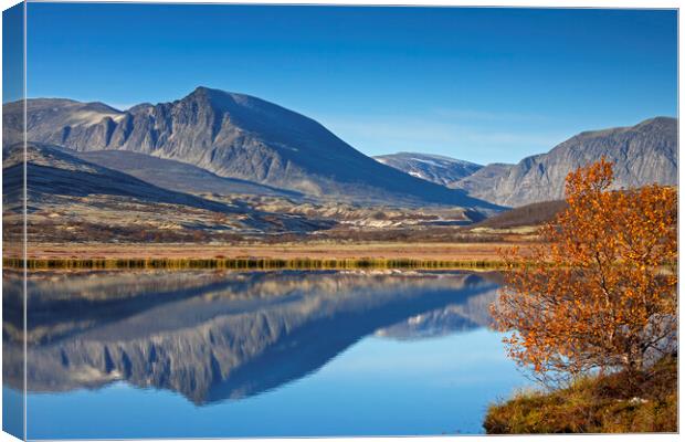Rondane National Park in Autumn, Dovre, Norway Canvas Print by Arterra 