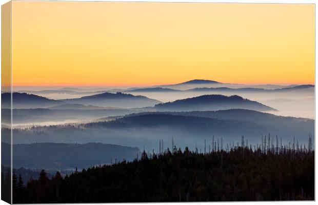 Rolling Hills in the Mist at Sunrise Canvas Print by Arterra 