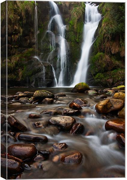 Serene Waterfall Oasis Canvas Print by Jim Round