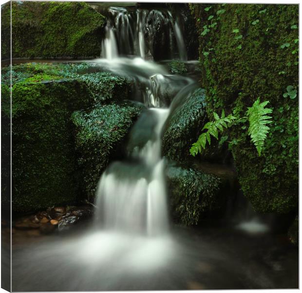 Enchanting Green Waterfall Canvas Print by Jim Round