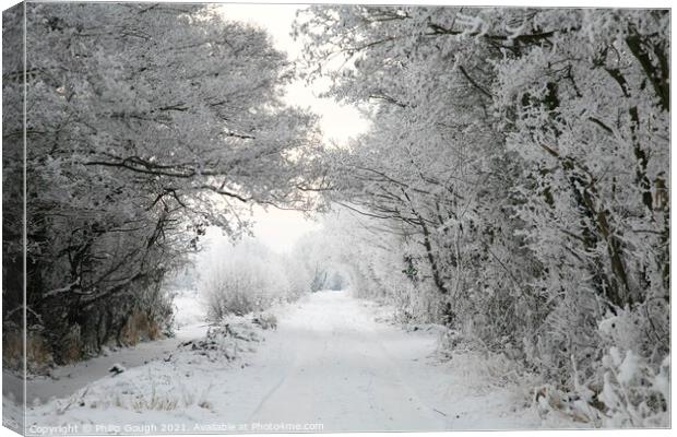 Snow on The Somerset Levels Canvas Print by Philip Gough