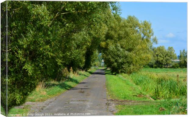 The Somerset Levels Canvas Print by Philip Gough