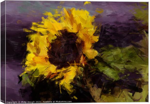 Sunflower Canvas Print by Philip Gough