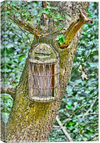 Feeding box in the woods. Canvas Print by Philip Gough