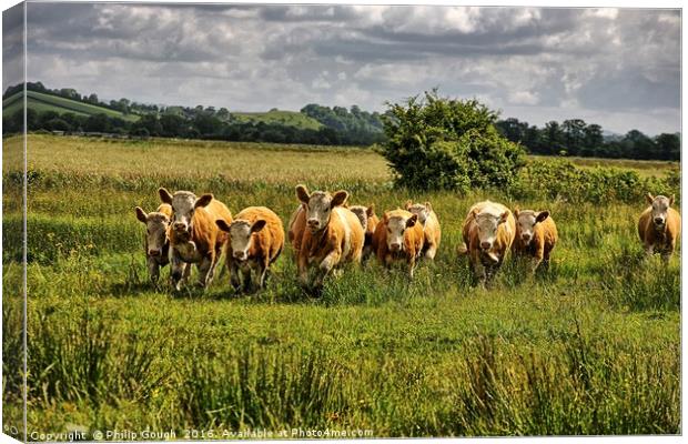 Charge on The Somerset Levels Canvas Print by Philip Gough