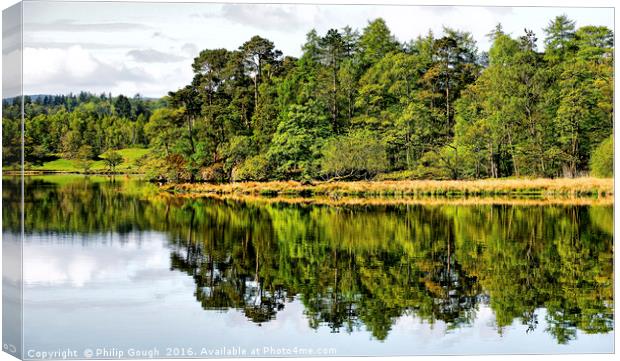 Reflection in the Landscape Canvas Print by Philip Gough