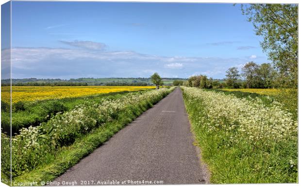 Road Through the Somerset Levels Canvas Print by Philip Gough