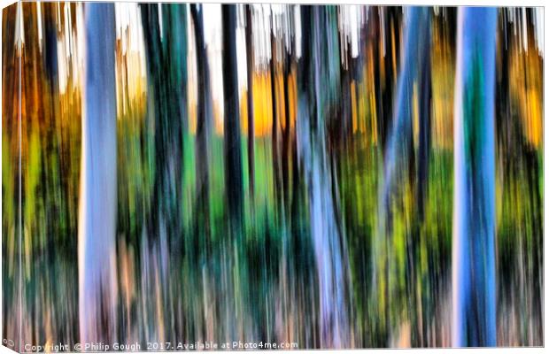 Forest Hue's Canvas Print by Philip Gough