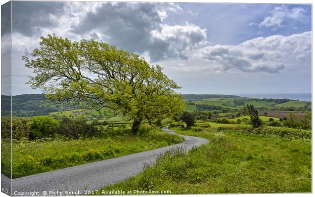 A view from Fishponds 2 Canvas Print by Philip Gough