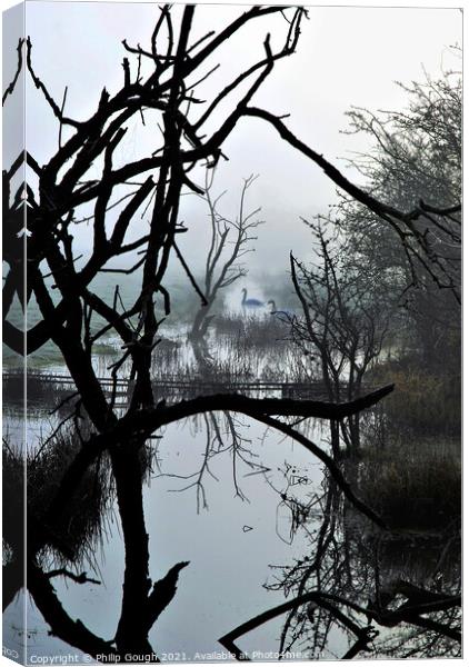 Swans in the mist Canvas Print by Philip Gough