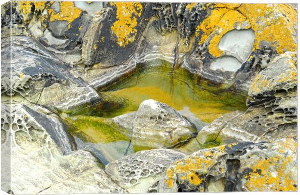 Pool in the rocks Canvas Print by Philip Gough