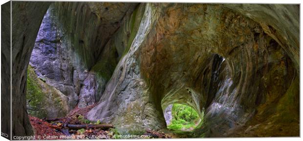 Cave portal panorama Canvas Print by Ragnar Lothbrok