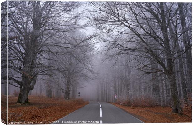 Road through forest, early winter Canvas Print by Ragnar Lothbrok
