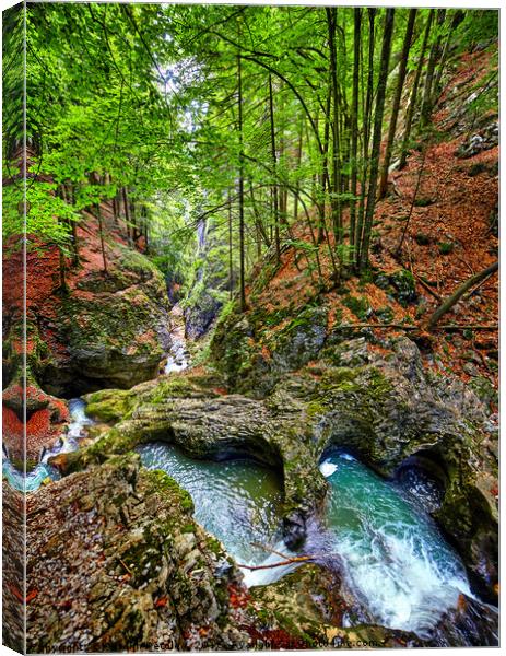 Canyon with a river Canvas Print by Ragnar Lothbrok
