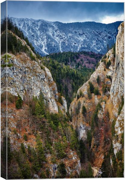 Canyon and mountain range Canvas Print by Ragnar Lothbrok
