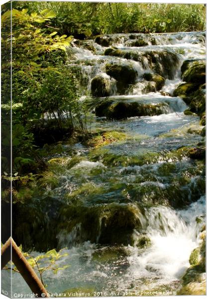 Lovely water cascade at Plitvice National Park Canvas Print by Barbara Vizhanyo