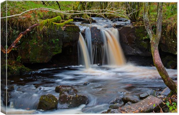 Cascading Waterfalls in the Brecon Beacons Canvas Print by michael Bryan