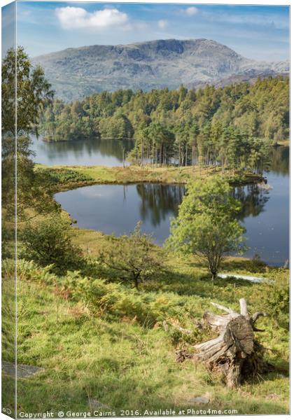 Lake, trees and hills in the Lake District Canvas Print by George Cairns