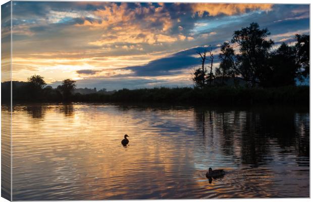Silhouetted ducks at sunset Canvas Print by George Cairns