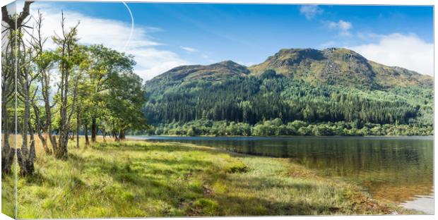 Loch Lubnaig Panormama Canvas Print by George Cairns