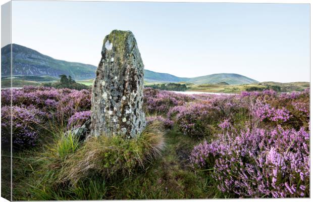 Standing Stone and Heather Canvas Print by Janette Hill