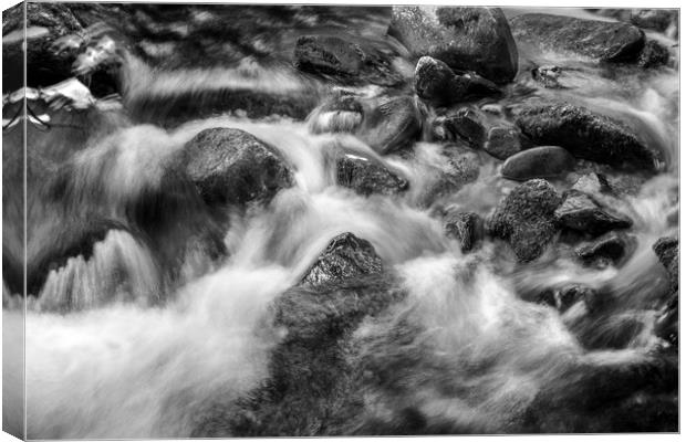 Soft Water in Mono Canvas Print by Janette Hill