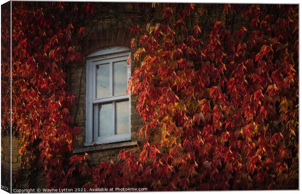 Autumn views Canvas Print by Wayne Lytton