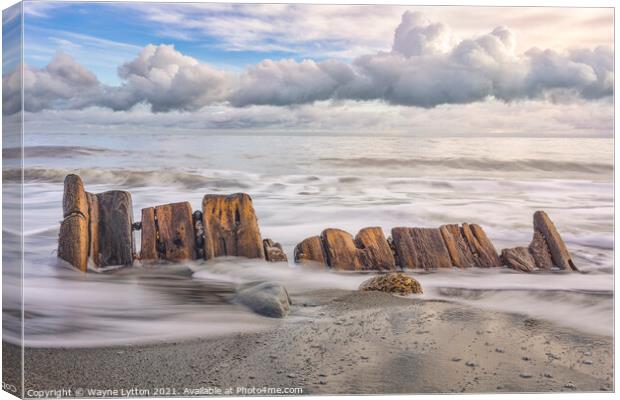 Folkestone Warren Canvas Print by Wayne Lytton