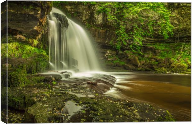 Tranquil West Burton Falls Canvas Print by Kevin Snelling