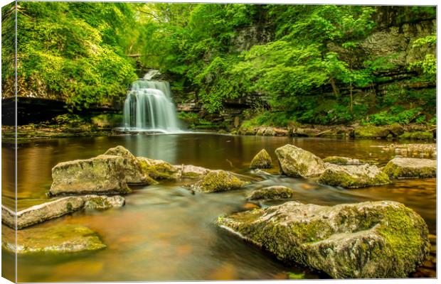 Majestic Cauldron Falls Canvas Print by Kevin Snelling