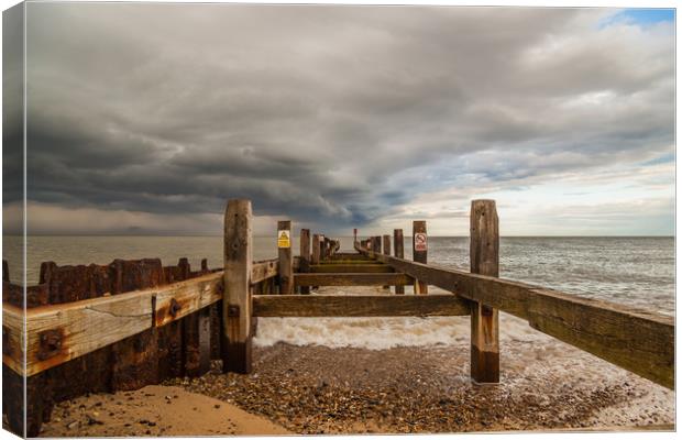 Battling the storm Canvas Print by Kevin Snelling