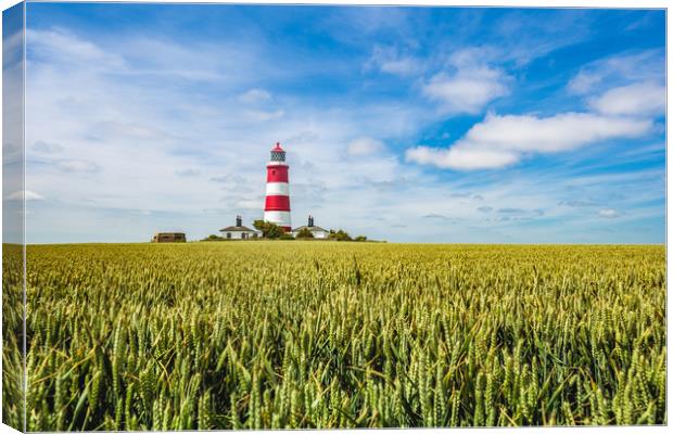 Happisburgh Lighthouse  in sea of green Canvas Print by Kevin Snelling