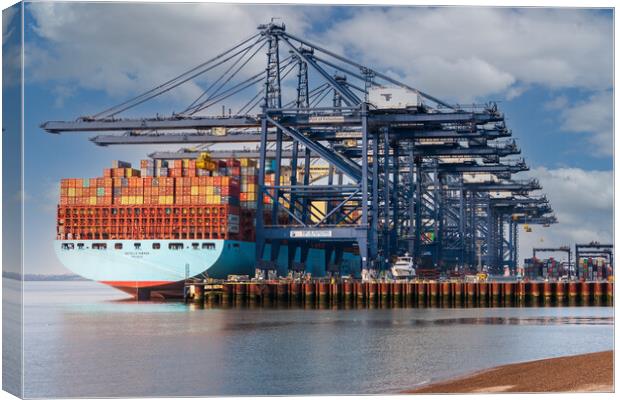 Majestic vessel docks in Felixstowe Canvas Print by Kevin Snelling