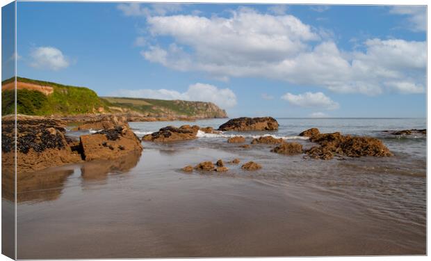 Majestic Coastline of Roseland Canvas Print by Kevin Snelling