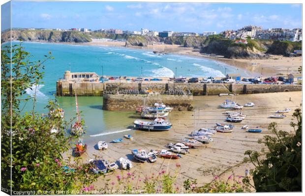 Newquay Harbour and Tolcarne Beach Canvas Print by Chris Harris