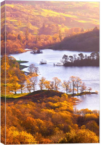 Rydal Water Canvas Print by Chris Harris