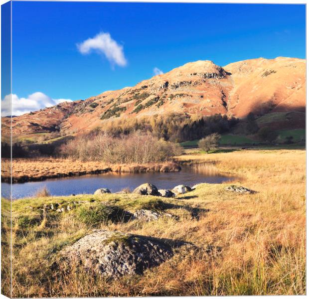 Autumn in Little Langdale Canvas Print by Chris Harris
