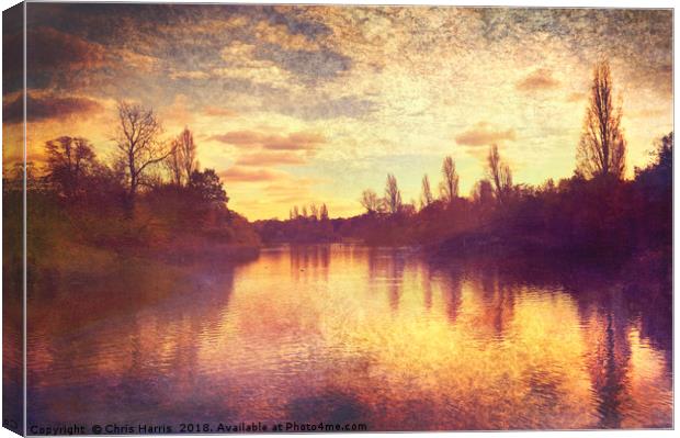 The Serpentine Canvas Print by Chris Harris