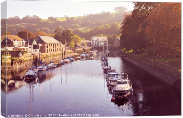 Boats on the River Dart at Totnes Canvas Print by Chris Harris