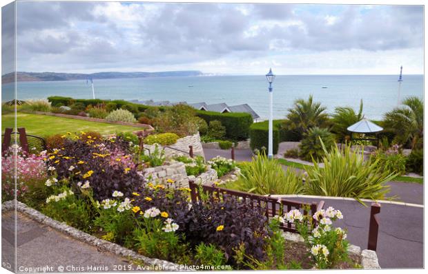 Weymouth coast from Greenhill Gardens Canvas Print by Chris Harris