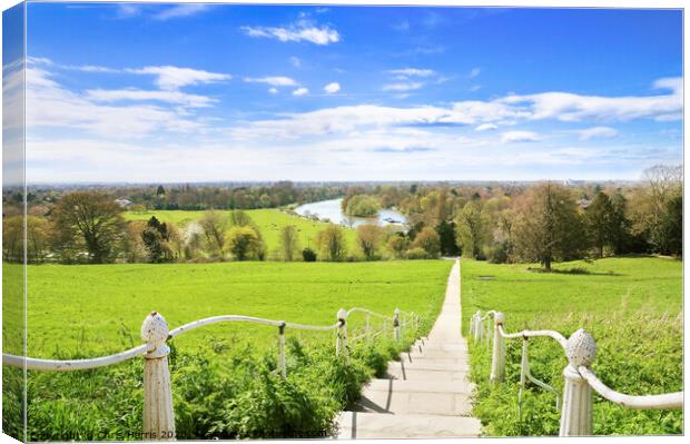 View from Richmond Hill Canvas Print by Chris Harris