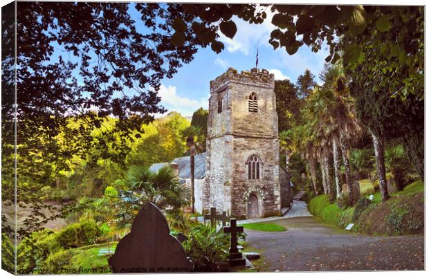 St Just in Roseland Church Canvas Print by Chris Harris