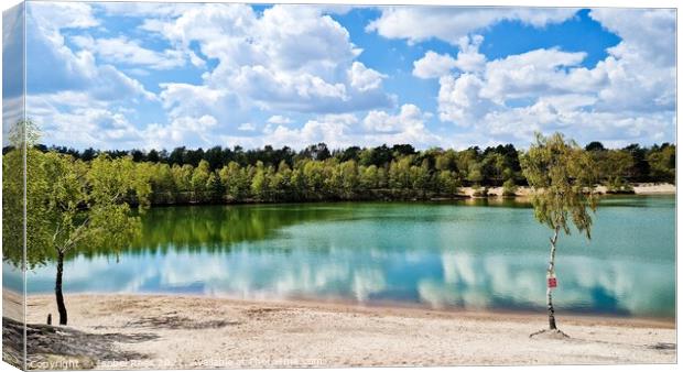 Bawsey Lake Canvas Print by Isobel Rees